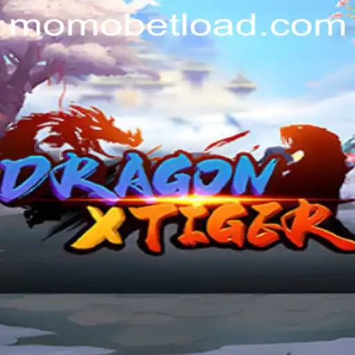 DragonXTiger: Unleashing the Thrills of MOMOBET